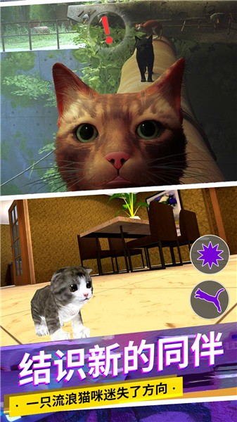 猫咪城市模拟 V1.0 安卓版