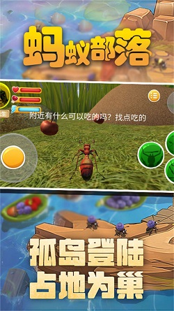 蚂蚁部落最新版游戏截图