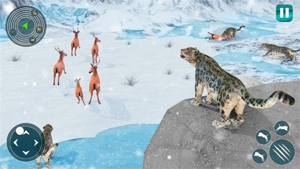 野生雪豹模拟器安卓版